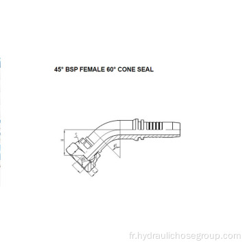 45° BSP Femelle 60° Joint Conique 22641